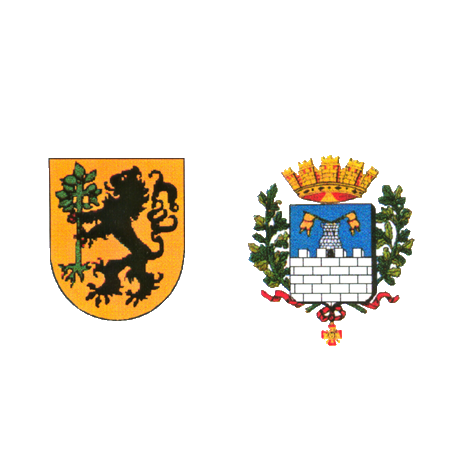 Vereinslogo